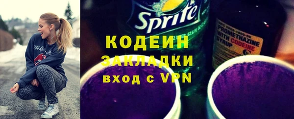 шишки Тайга