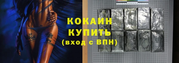 шишки Тайга