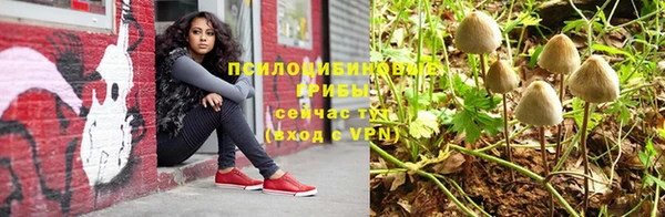 круглые Алзамай