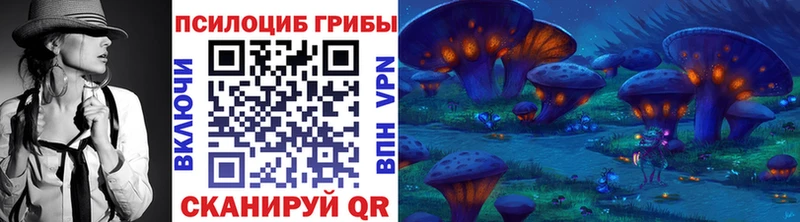 Галлюциногенные грибы MAGIC MUSHROOMS  продажа наркотиков  Дзержинск 